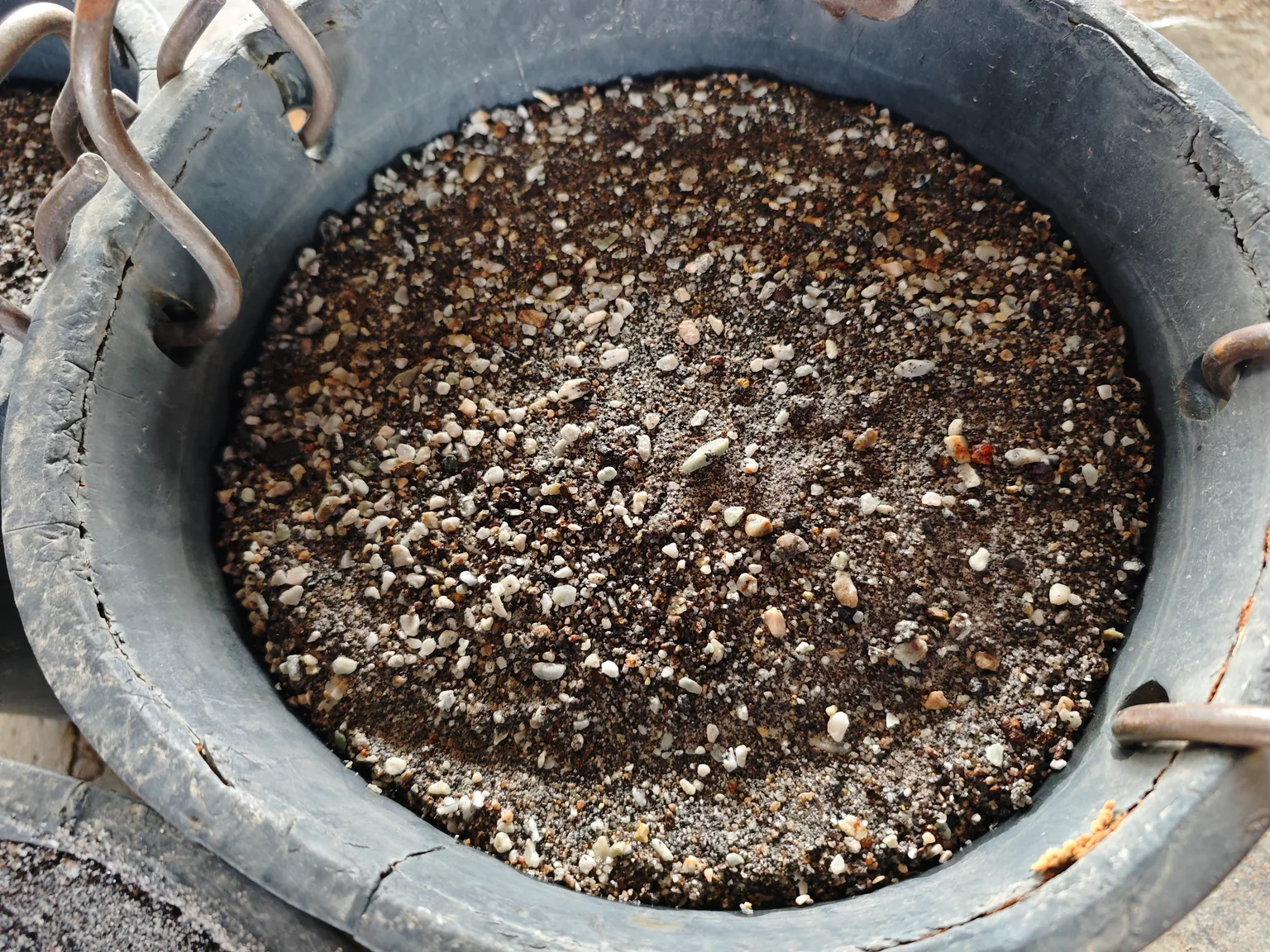 Business photo: a close-up of mixed dark and light granular material in a bucket